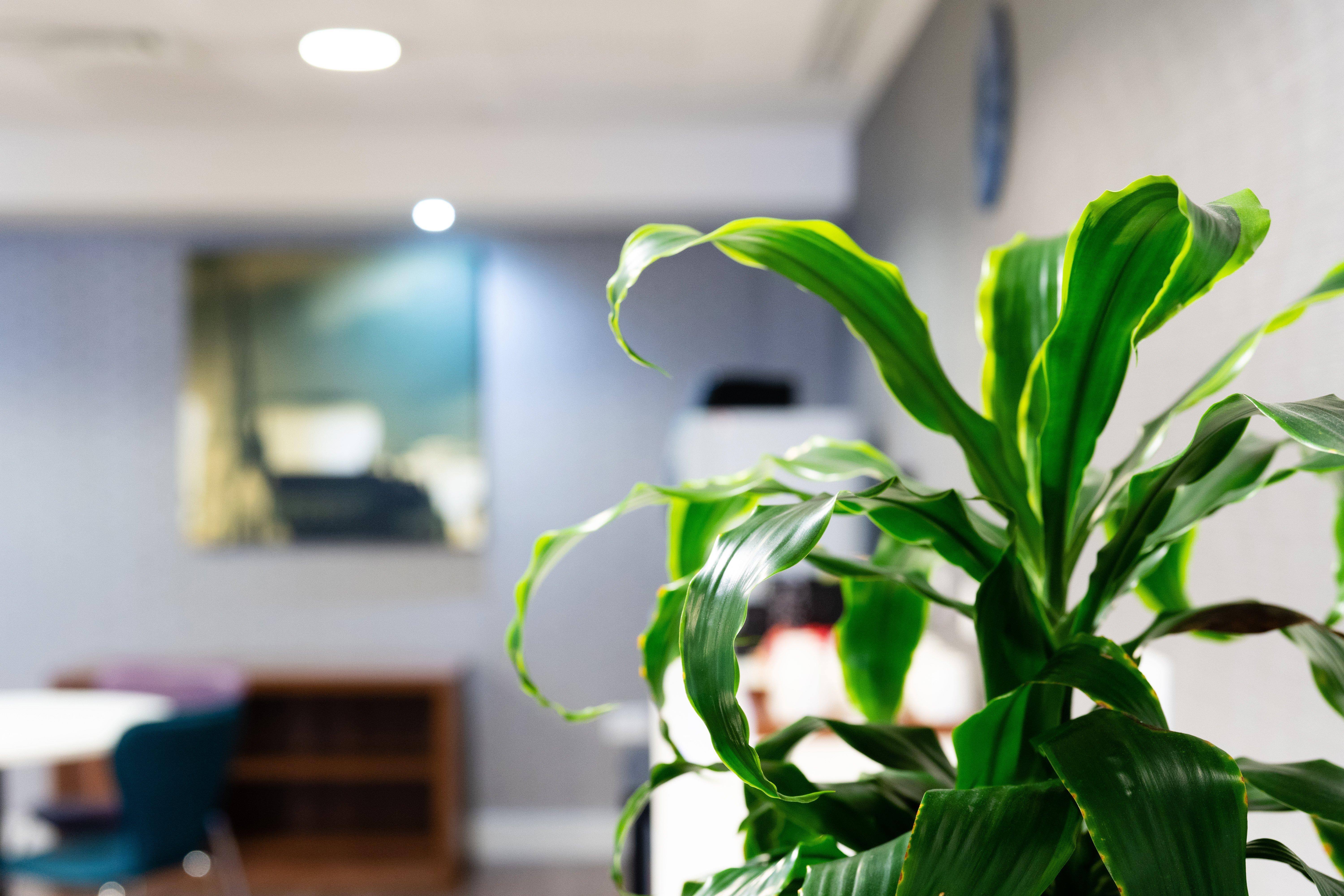 Holiday Inn Express Birmingham - Snow Hill By Ihg Exteriér fotografie